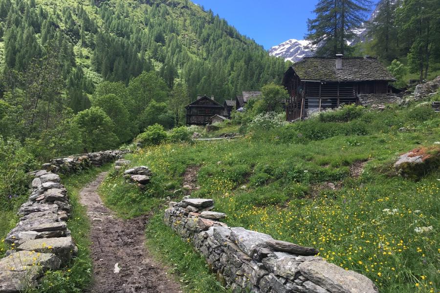 Sunny Val Vogna to Lake La Peccia