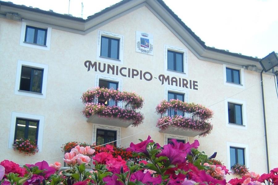 Square  Da Emy, mountain plants and flowers at the foot of the Gran Paradiso