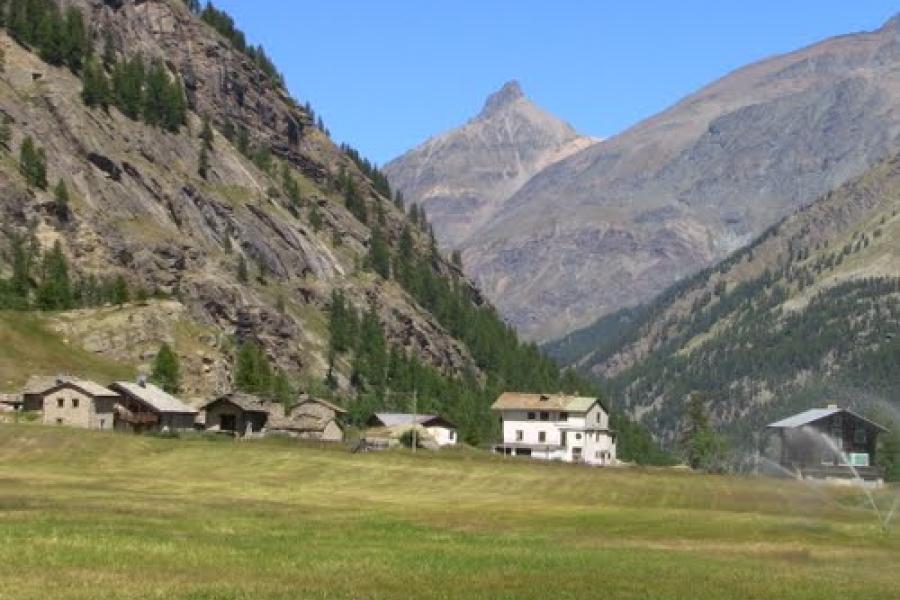 .. Fiha di Civet - Sagra del camoscio in "civet"