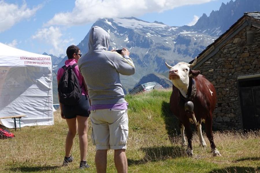 .. Alpages Ouverts - Une journée en alpage
