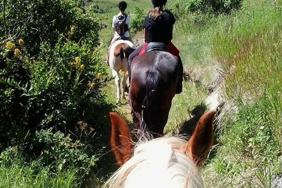.. An afternoon at the riding school