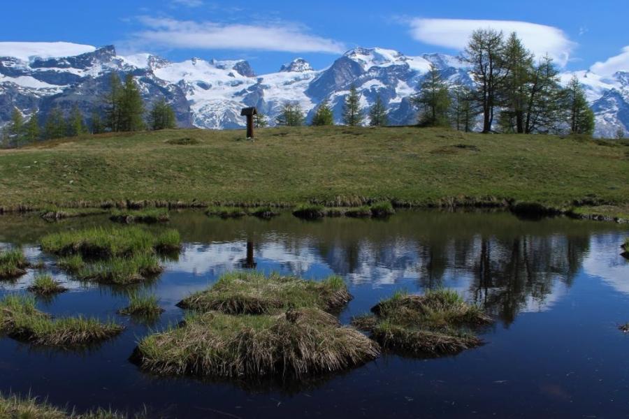 Lego Lochien e catena del Monte Rosa Tutta un'Alta Musica - Dora Strukan Garrone