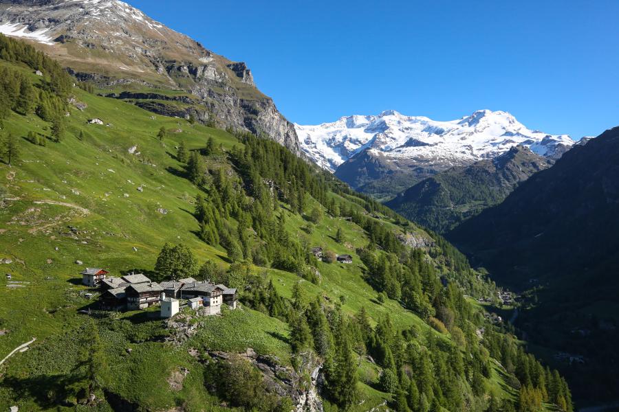 Alpenzu e il Monte Rosa Piccolo mercato d'antan con pane e vino di produttori locali
