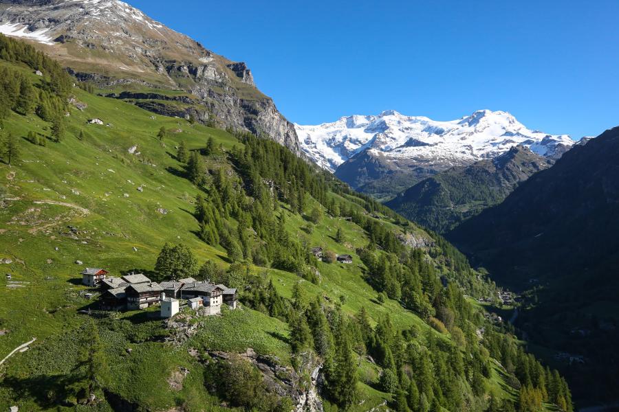 Saint Margaret festivity in Alpenzu Grande