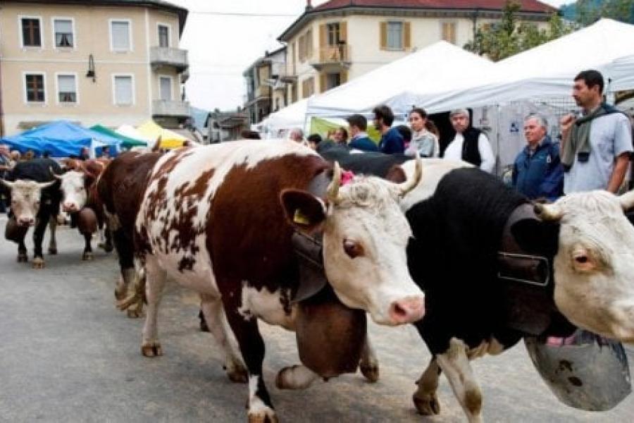 ANNULLEE - foire aux bestiaux