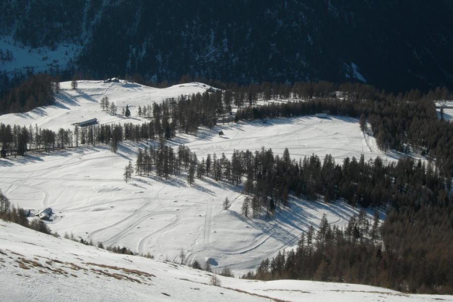 Carnaval sur skis