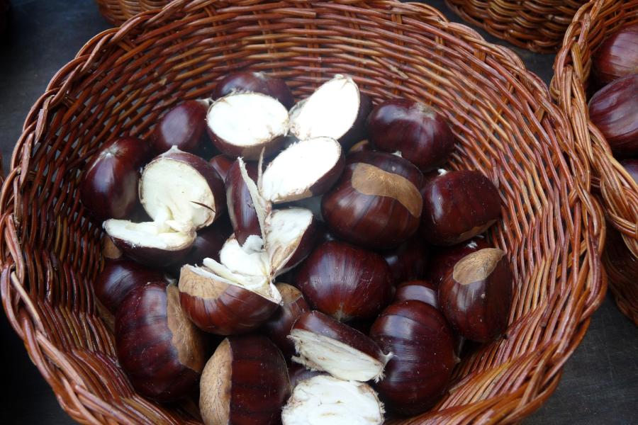 .. Lillianes Chestnut Festival