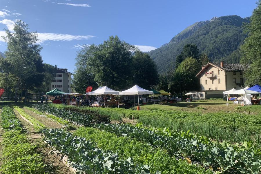 Samstag Märt Samstag Märt - Mercato dei piccoli produttori della Valle del Lys
