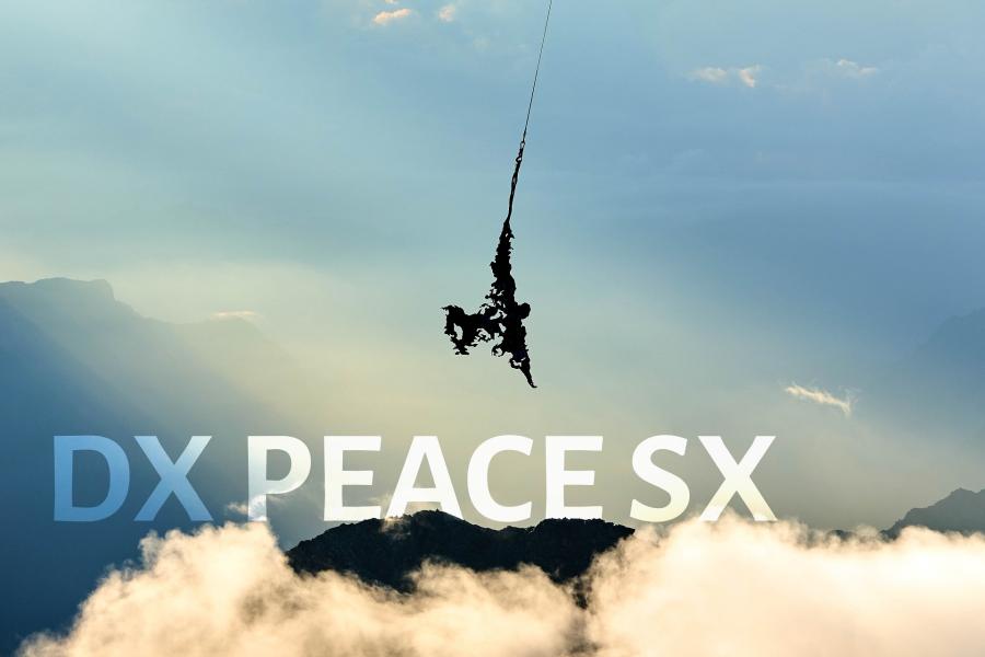 Dx Peace Sx Esposizione dell'opera di Paolo Barichello Dx Peace Sx