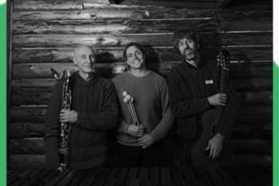 The oiseaux Musique & Saveurs avec Oiseaux trio