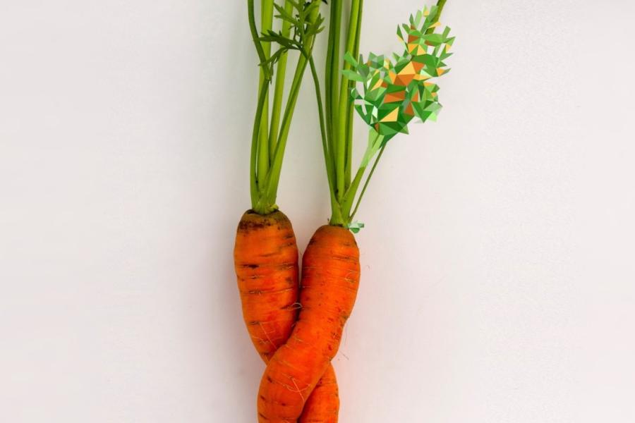 Verdure dell'orto Les jardins sauveront le monde : les céréales parmi les sommets