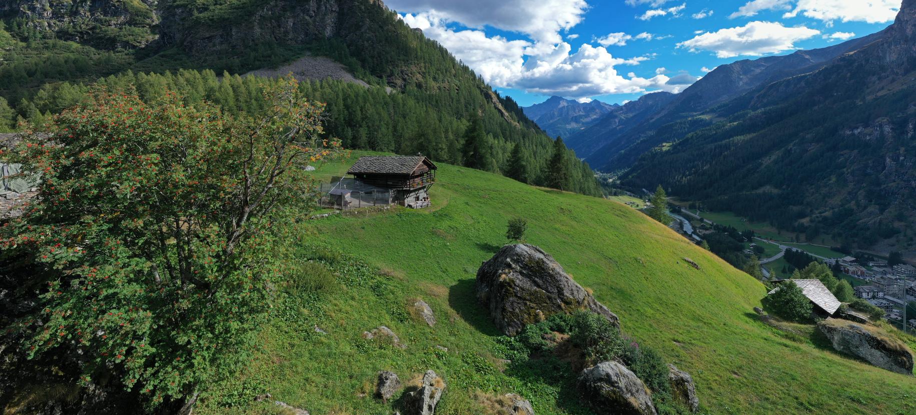 La Valle di Gressoney