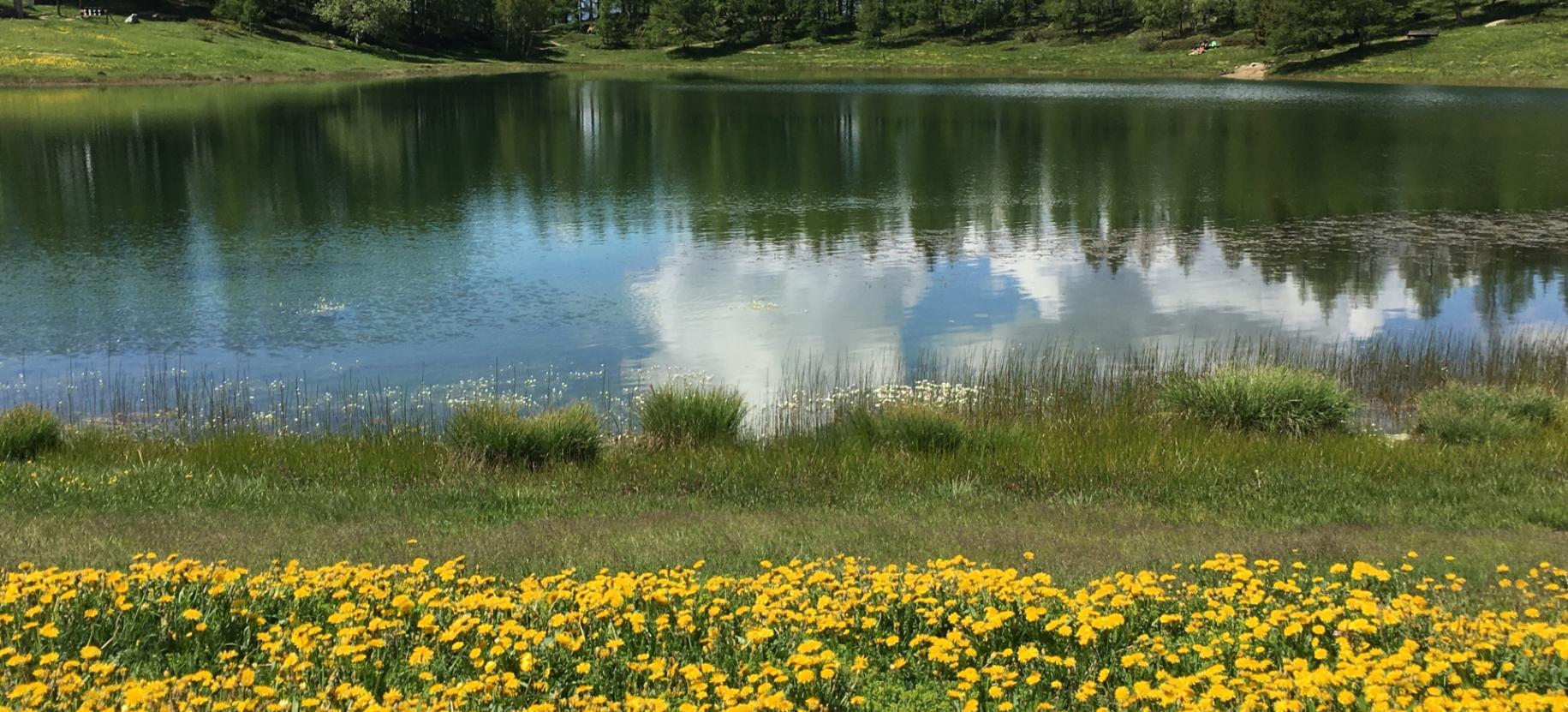 Lago di Lod  Rassegna insoliti: "Licheni"