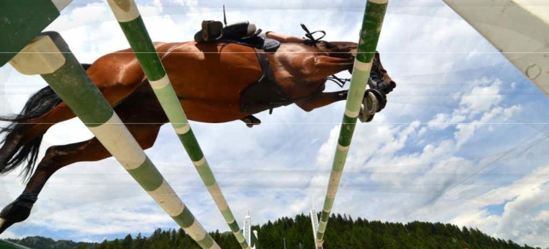 Equestrian event "Jumping Torgnon"