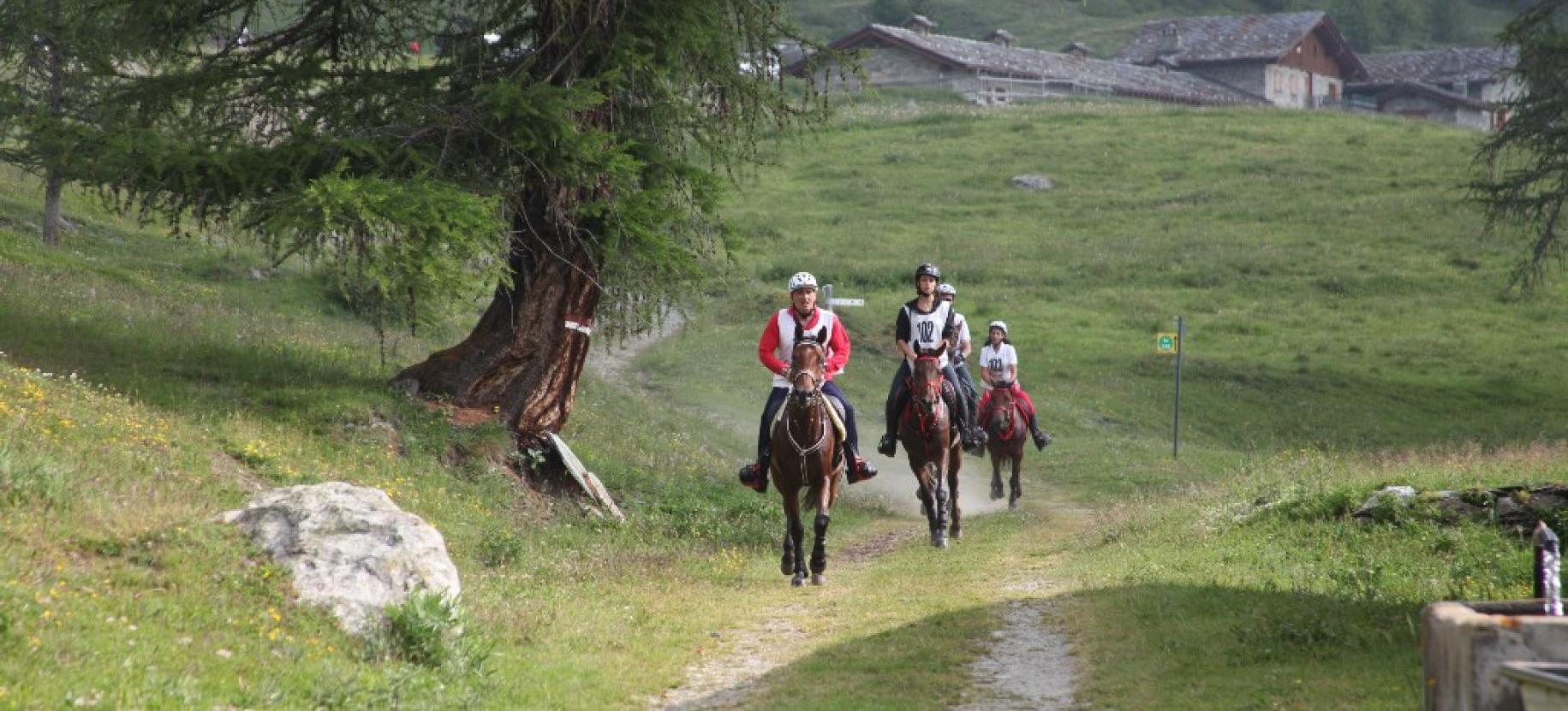 Equestrian event - International Endurance Race