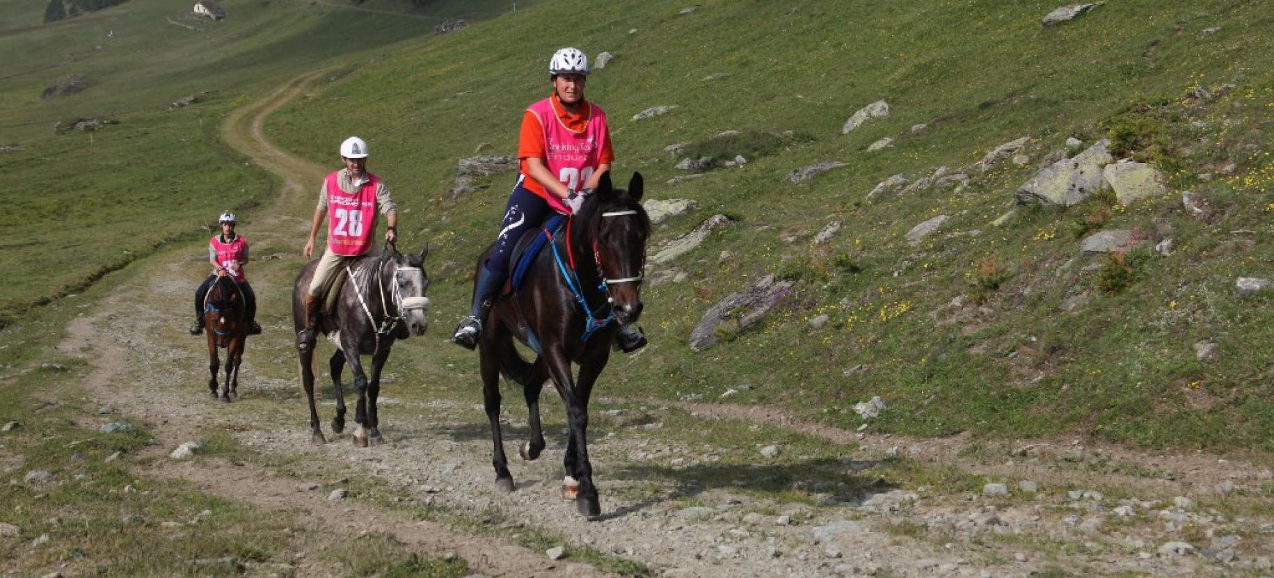 Evénement équestre - Compétition de Endurance