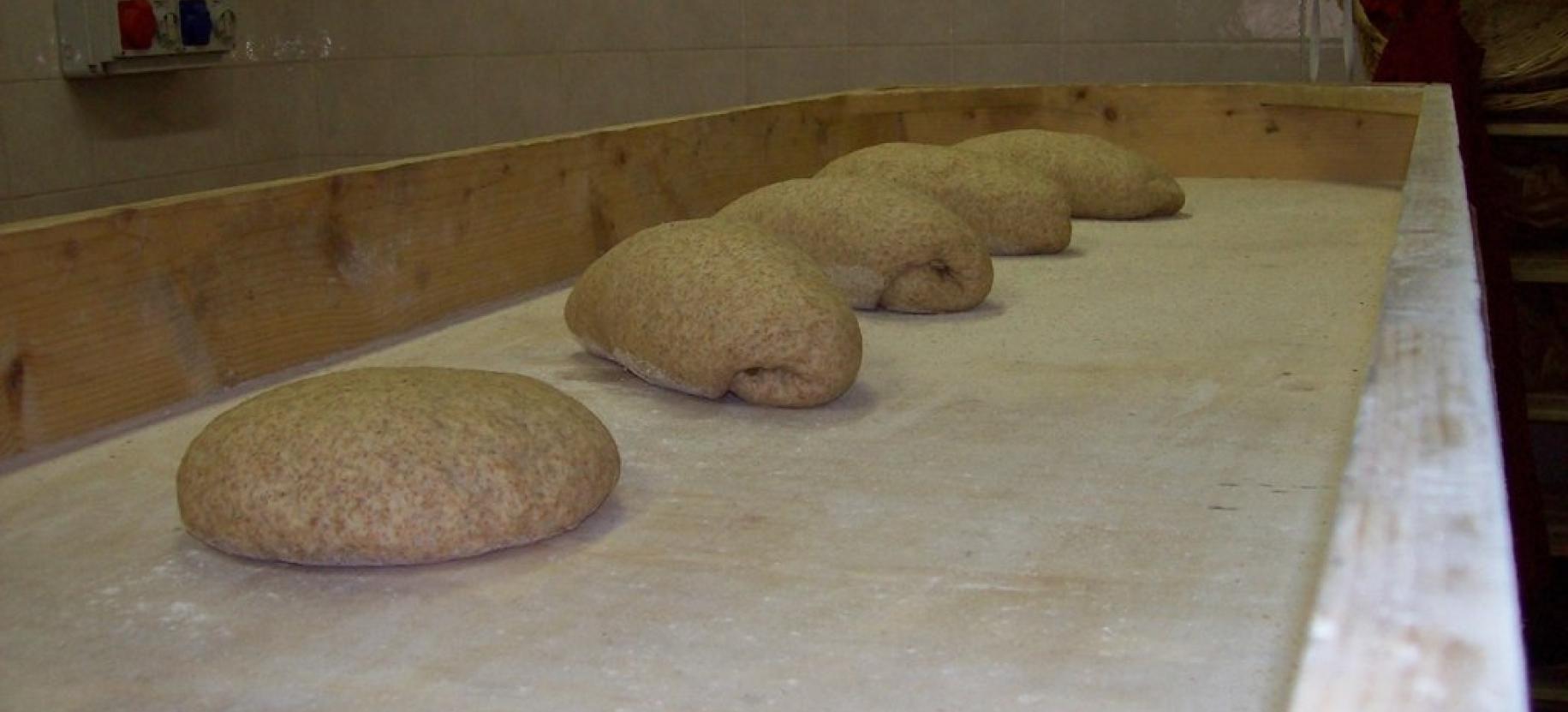 Bread before being baked  Fehta dou pan ner (Rye Bread festival)