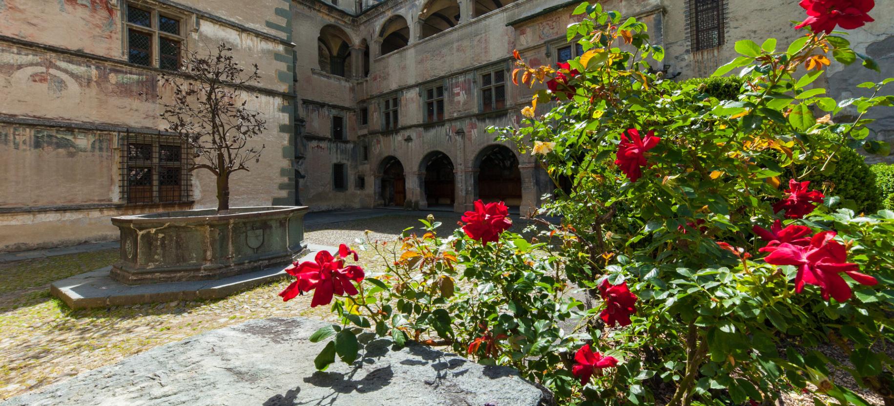 Grandparents's Day in Valle d'Aosta in places of culture