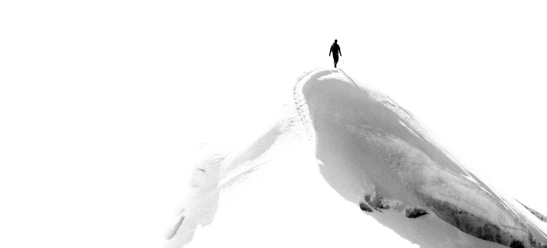 Davide Camisasca. Terres blanches