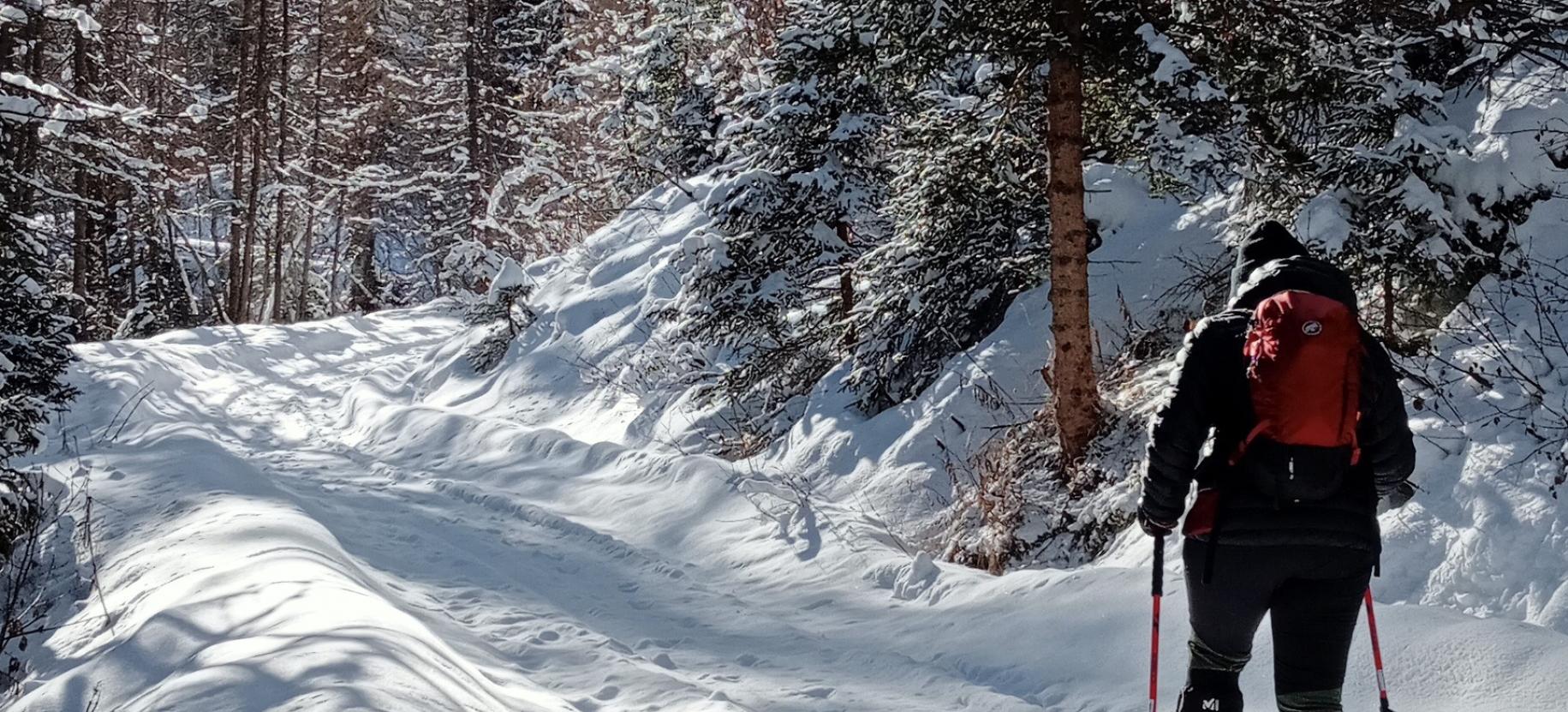 Snowshoeing in Val di Nanaz