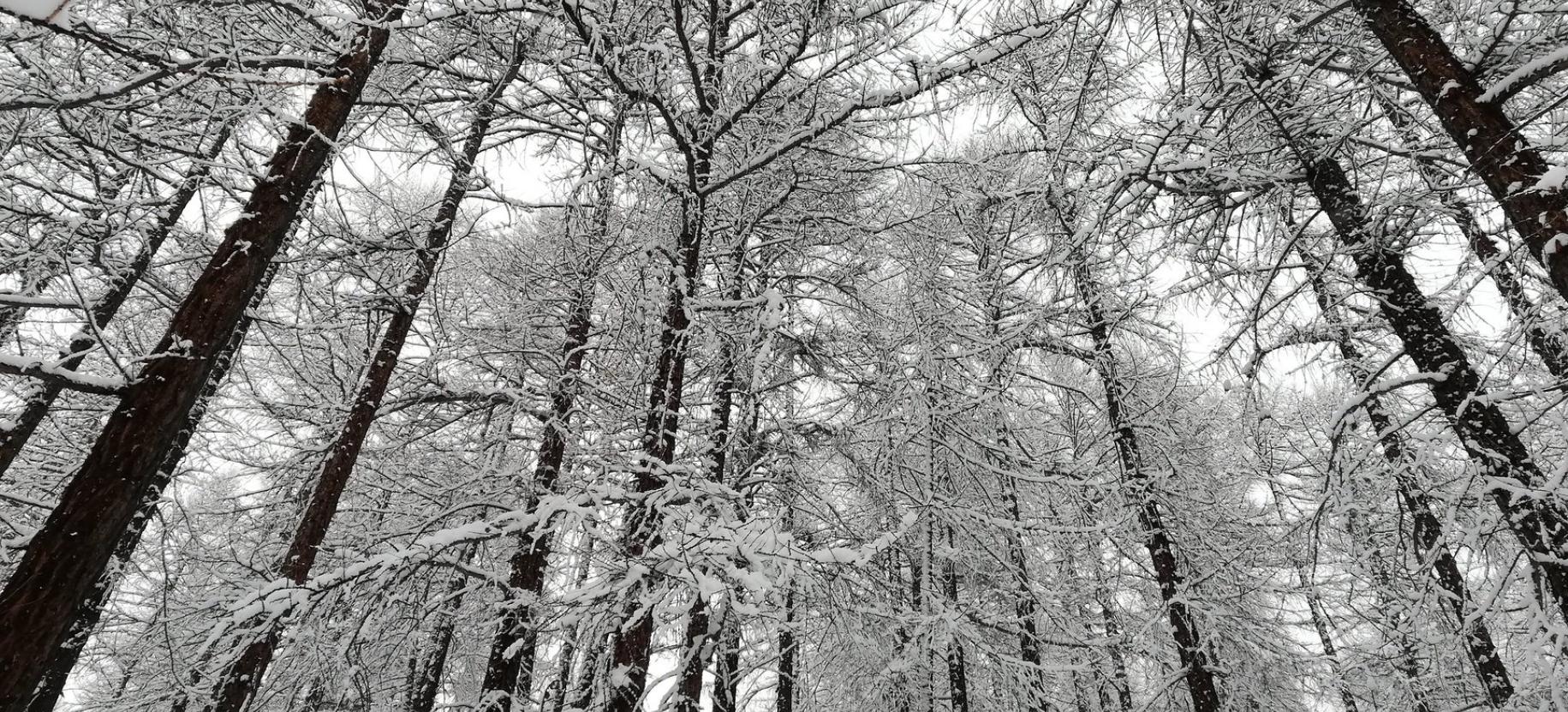 Snowshoeing at Blue Lake