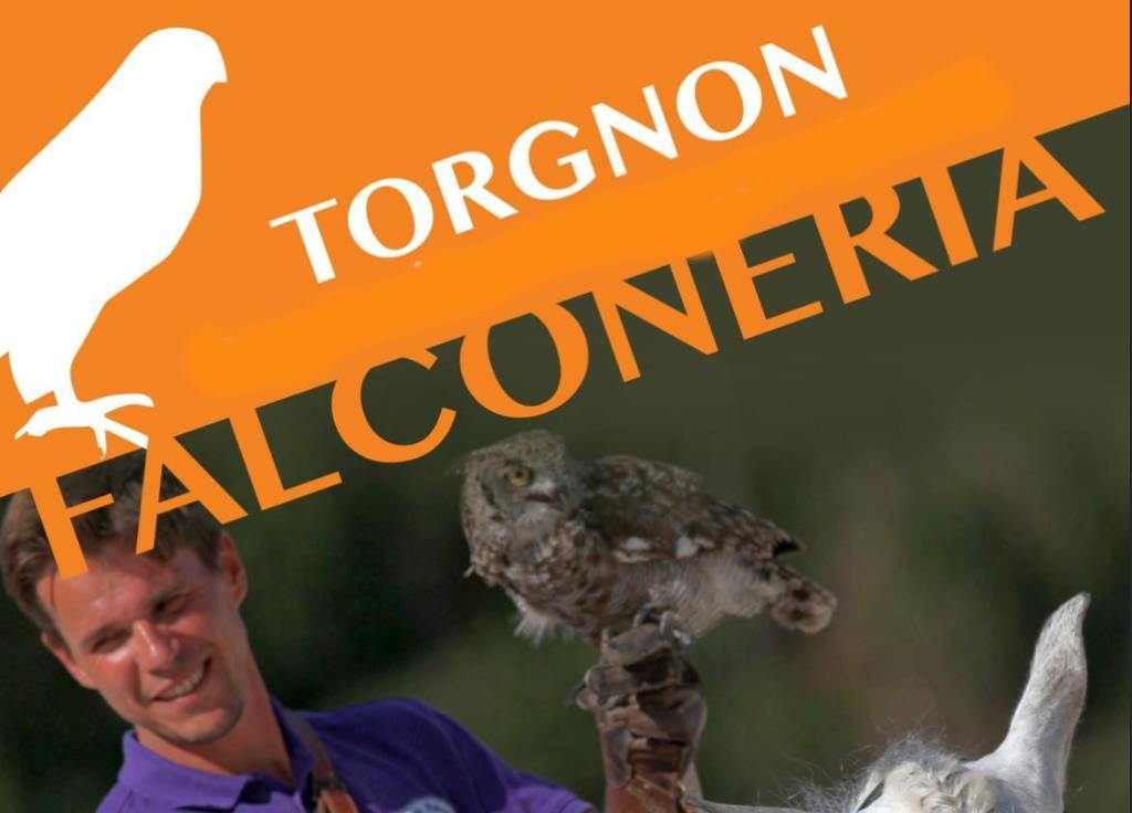 Falconry