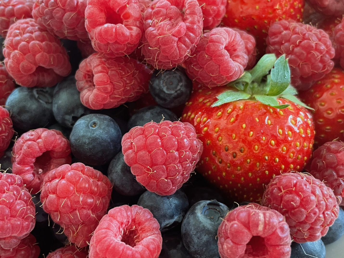 Fête des Petits fruits de La Magdeleine