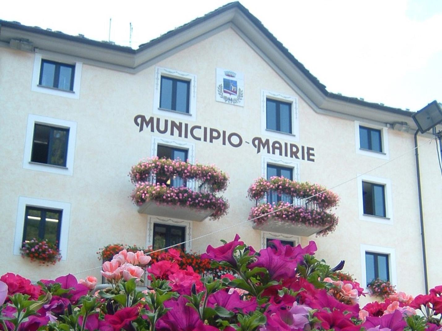 Square  Da Emy, mountain plants and flowers at the foot of the Gran Paradiso