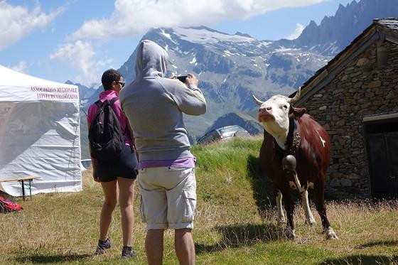 Alpages Ouverts - Una giornata in alpeggio