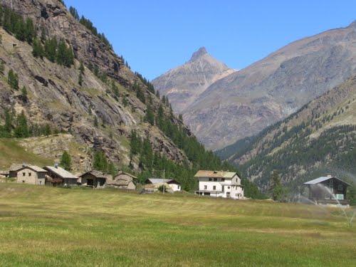 Fiha di Civet - Fête du chamois en "civet"