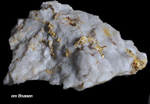 Minerals and fossils exchange