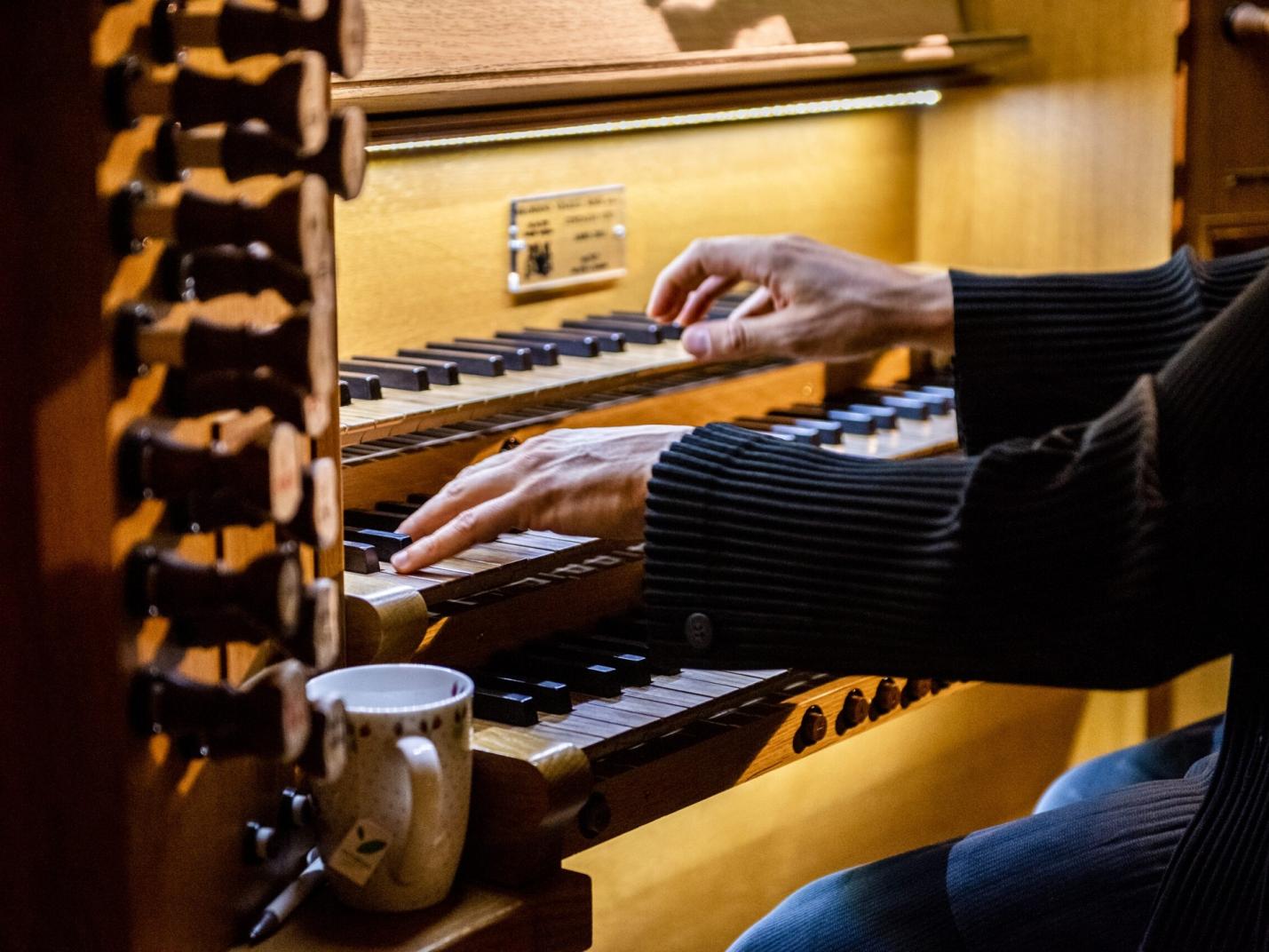 Concert  Festival Internazional de concerts par orgue