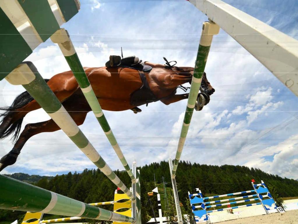 Equestrian event "Jumping Torgnon"