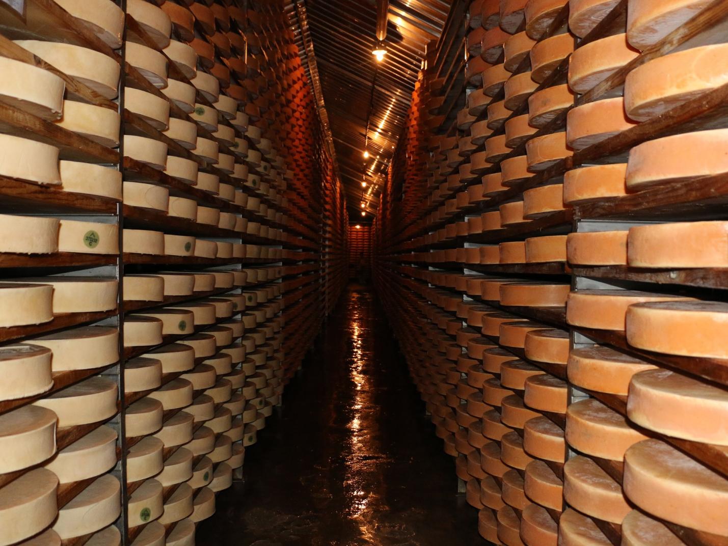 Magasin Fontina  Visite à l'entrepôt de la Fontina et dégustation