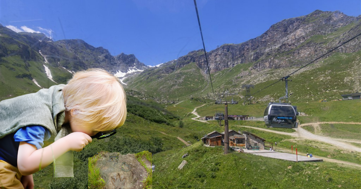 il bosco magico di alagna