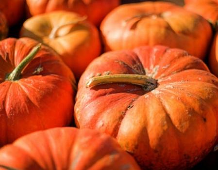 Verrès è...la zucca, dall'orto alla tavola