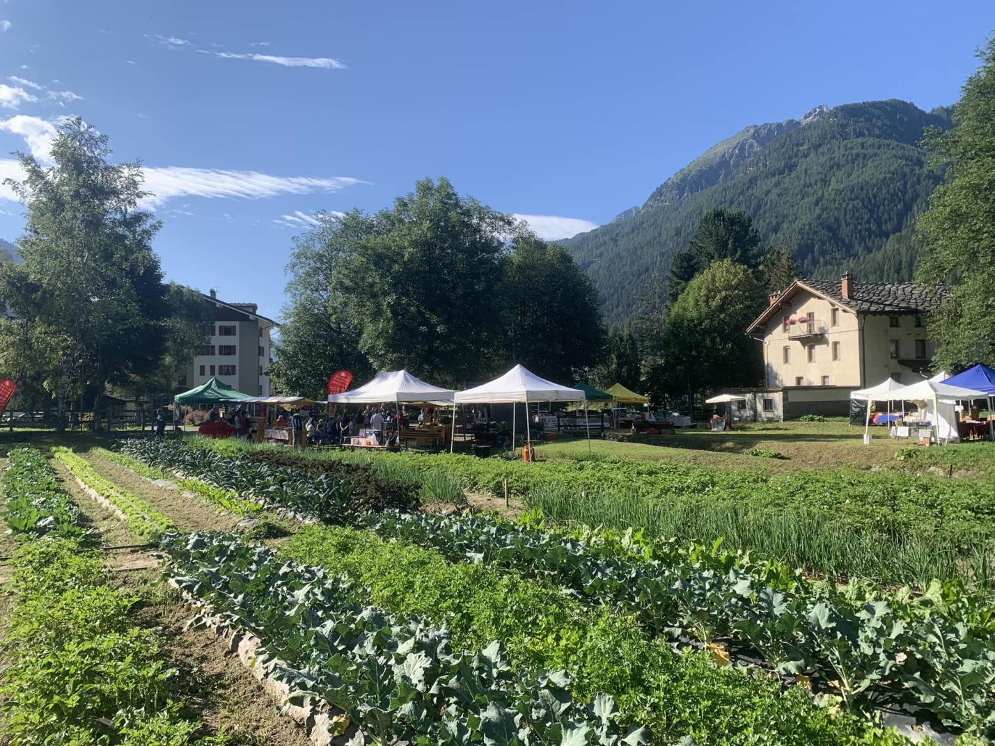 Samstag Märt - Local market of the Lys Valley typical products