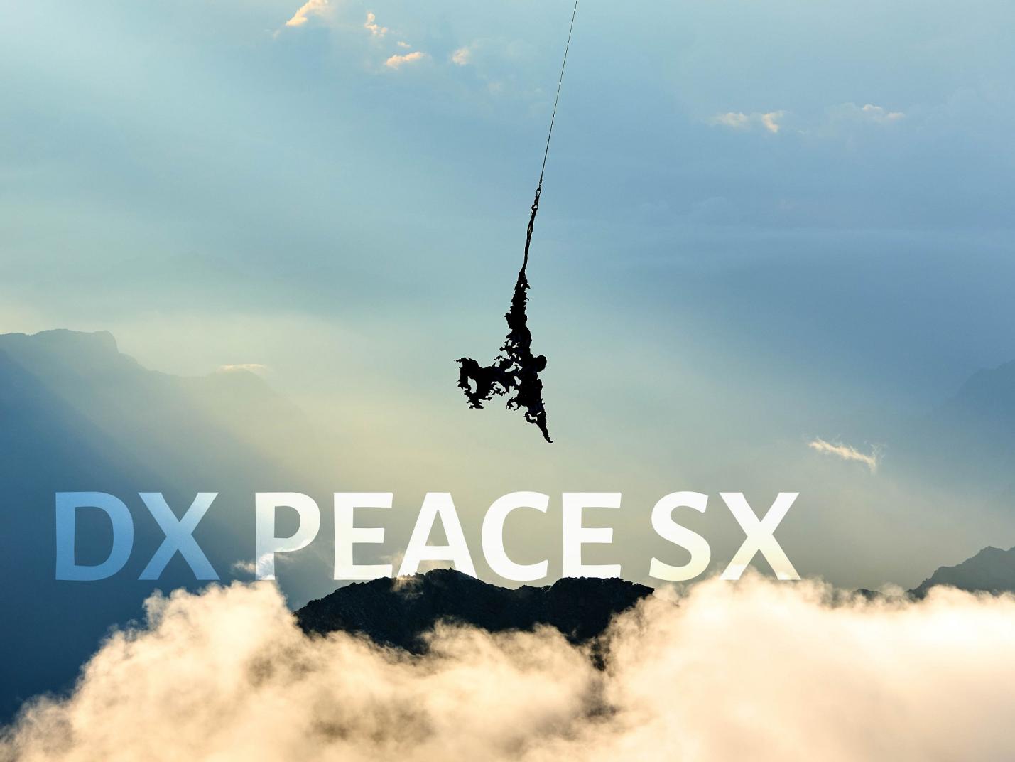 Esposizione dell'opera di Paolo Barichello Dx Peace Sx