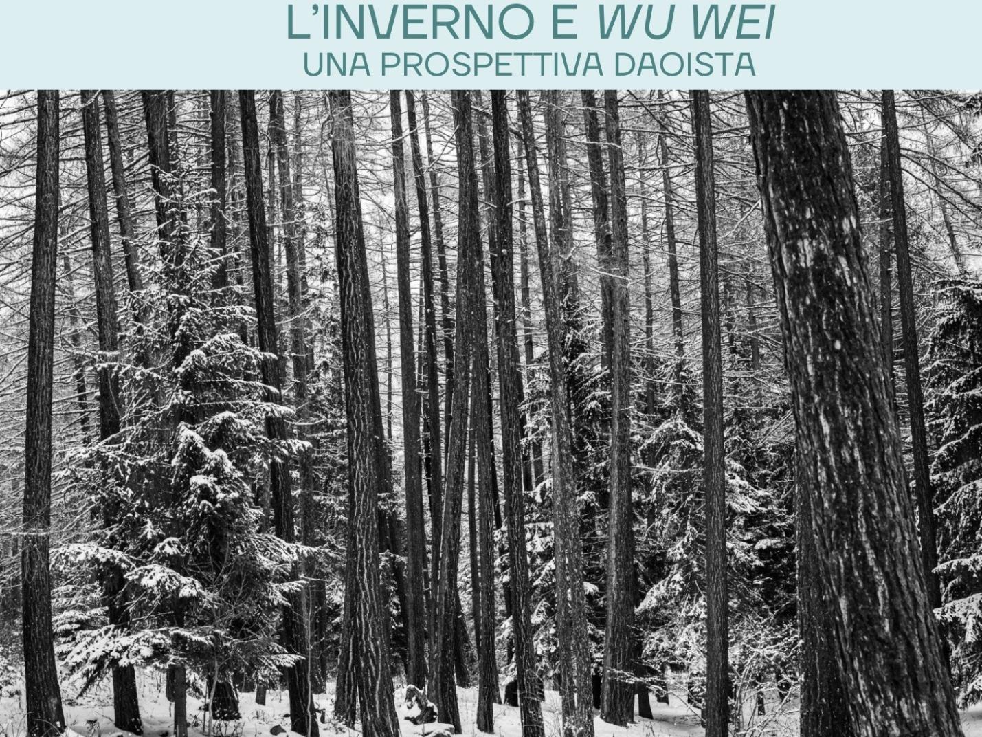 L'inverno e i suoi elementi – Exposition de photos