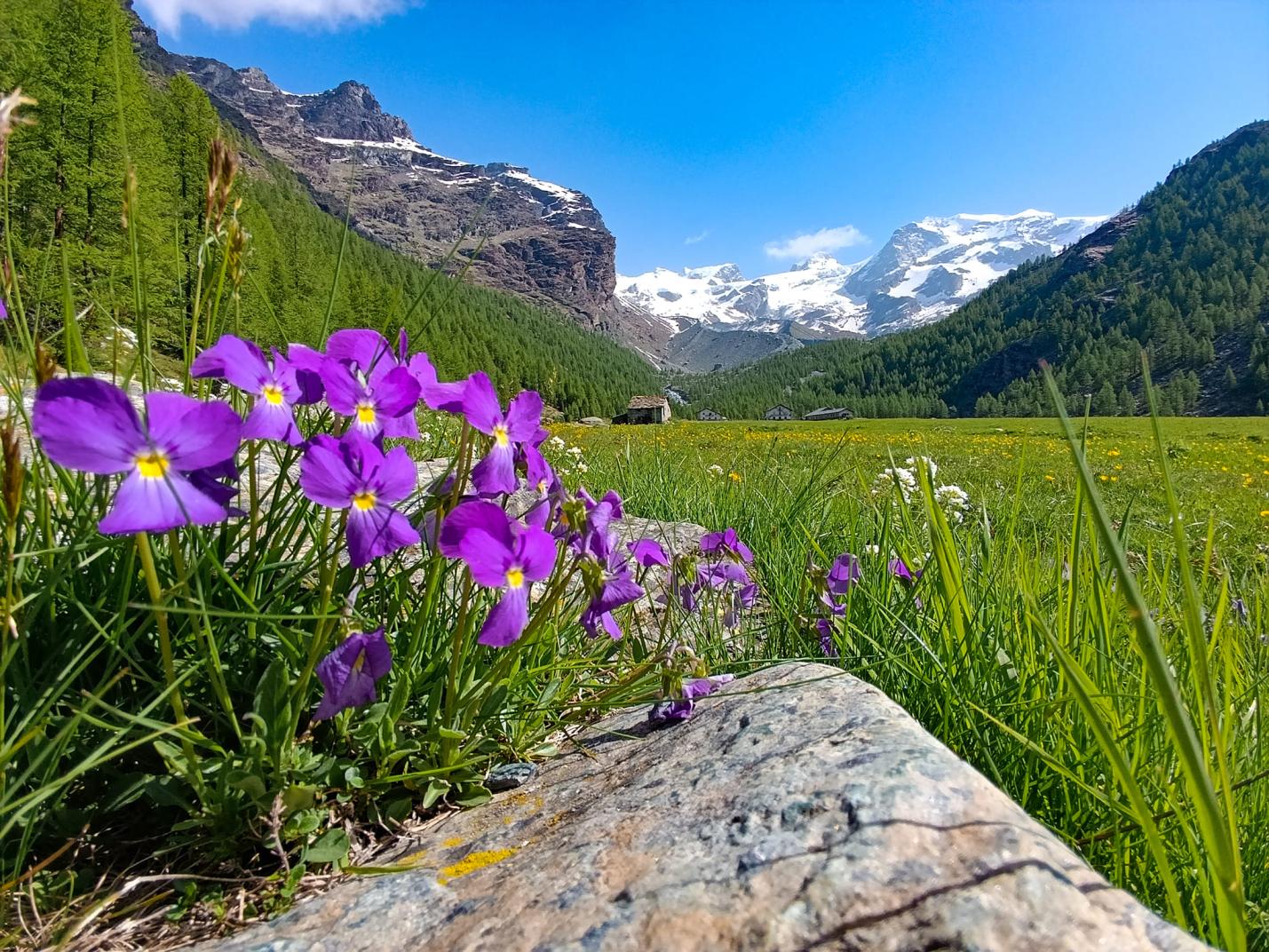 Valle d'Ayas