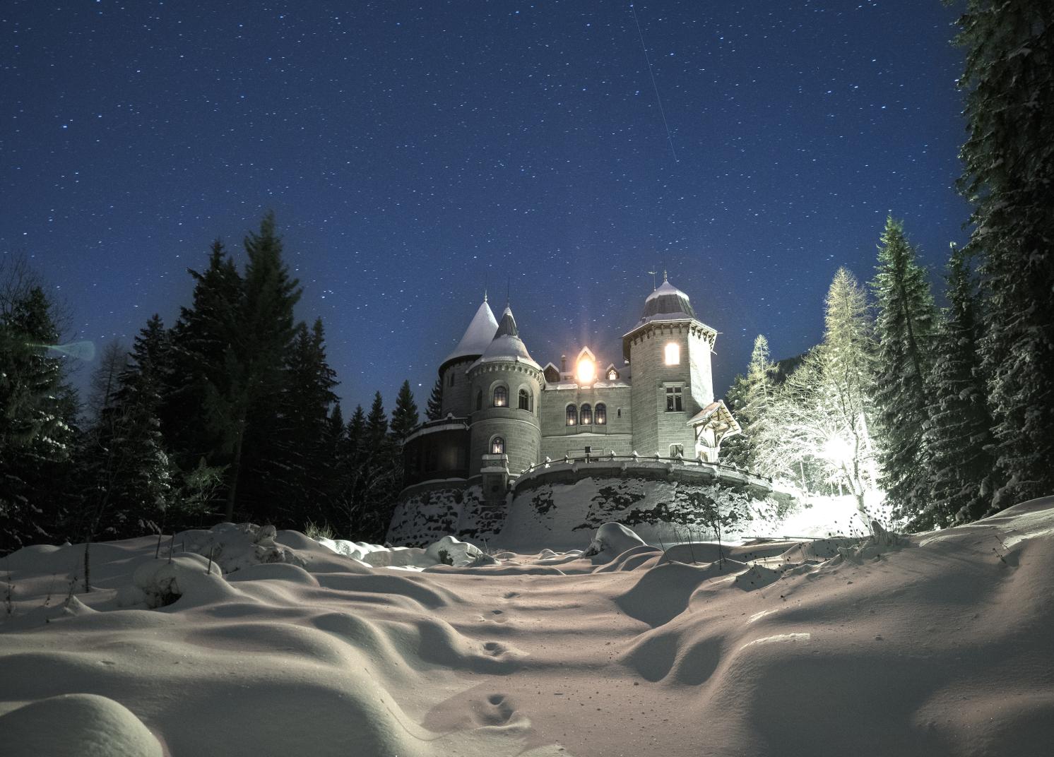 Château de Savoie