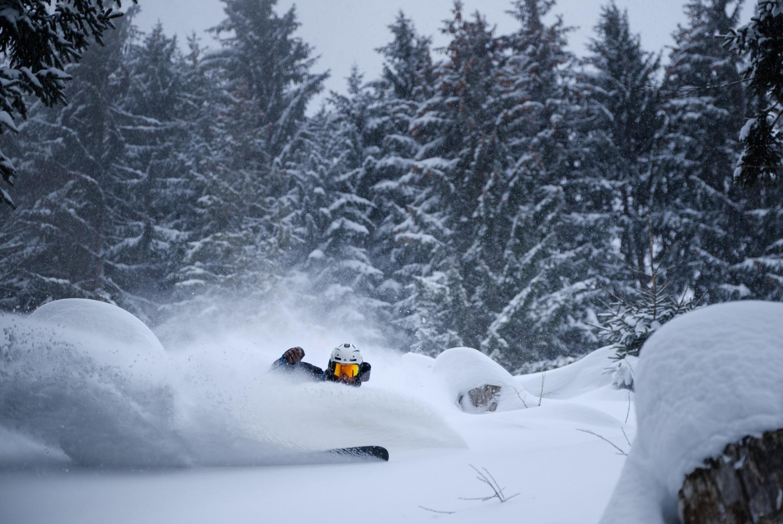 Freeride