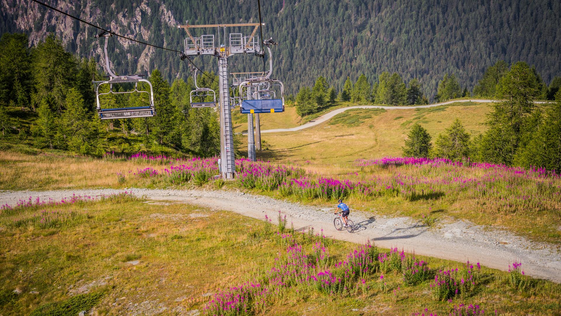 Bici Monterosa Ski