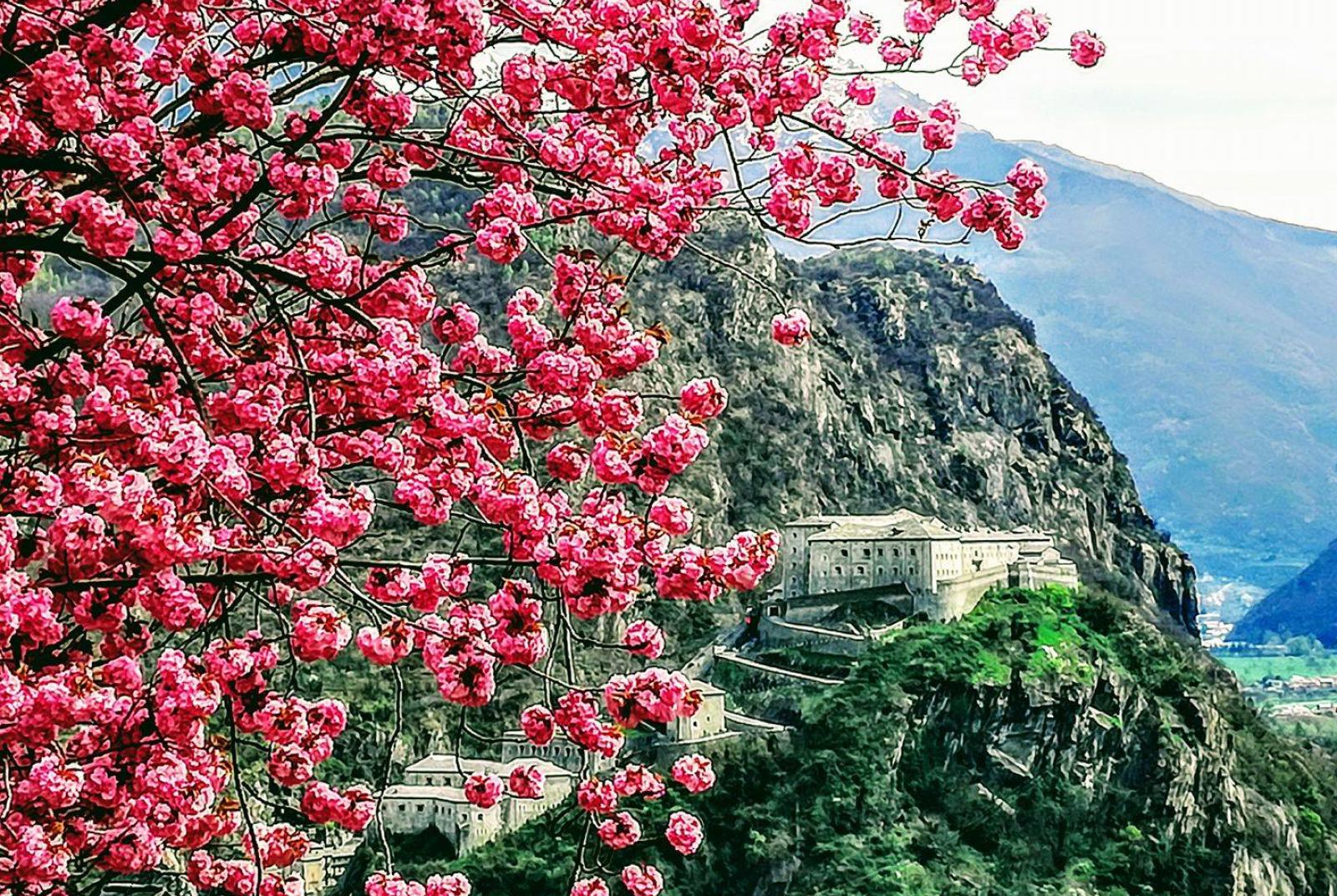 FORTE DI BARD