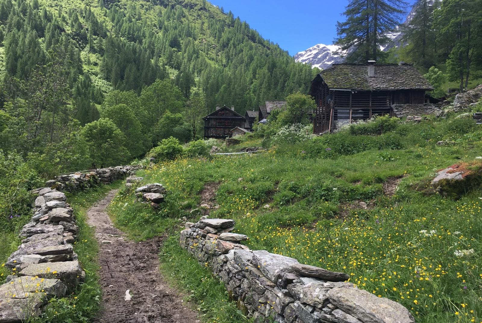 De la Val Vogna ensoleillée au lac de la Peccia