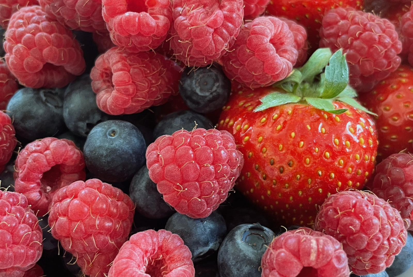 Festa dei piccoli frutti, agricoltura e prodotti tipici