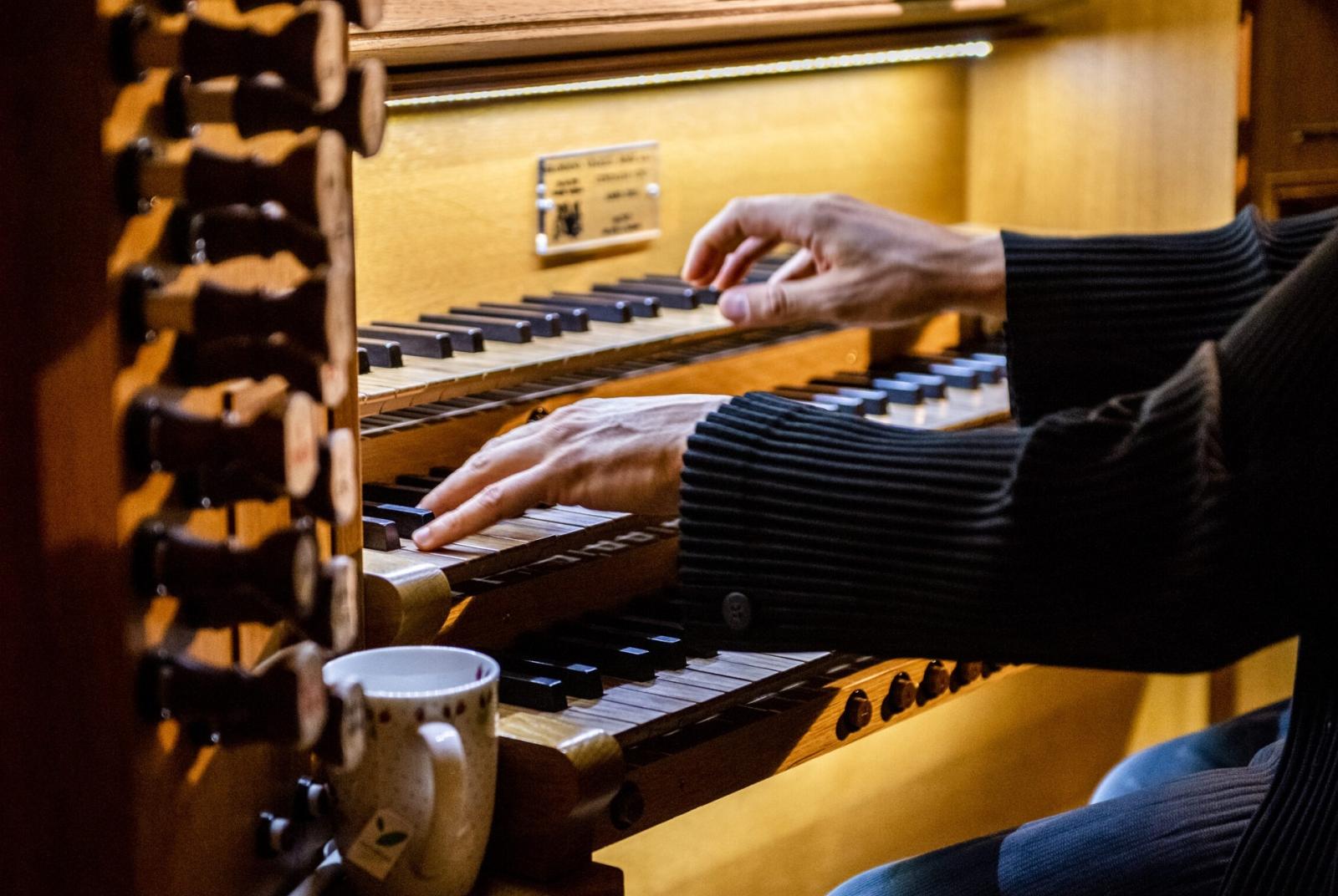 Concert  International Organ Concert Festival