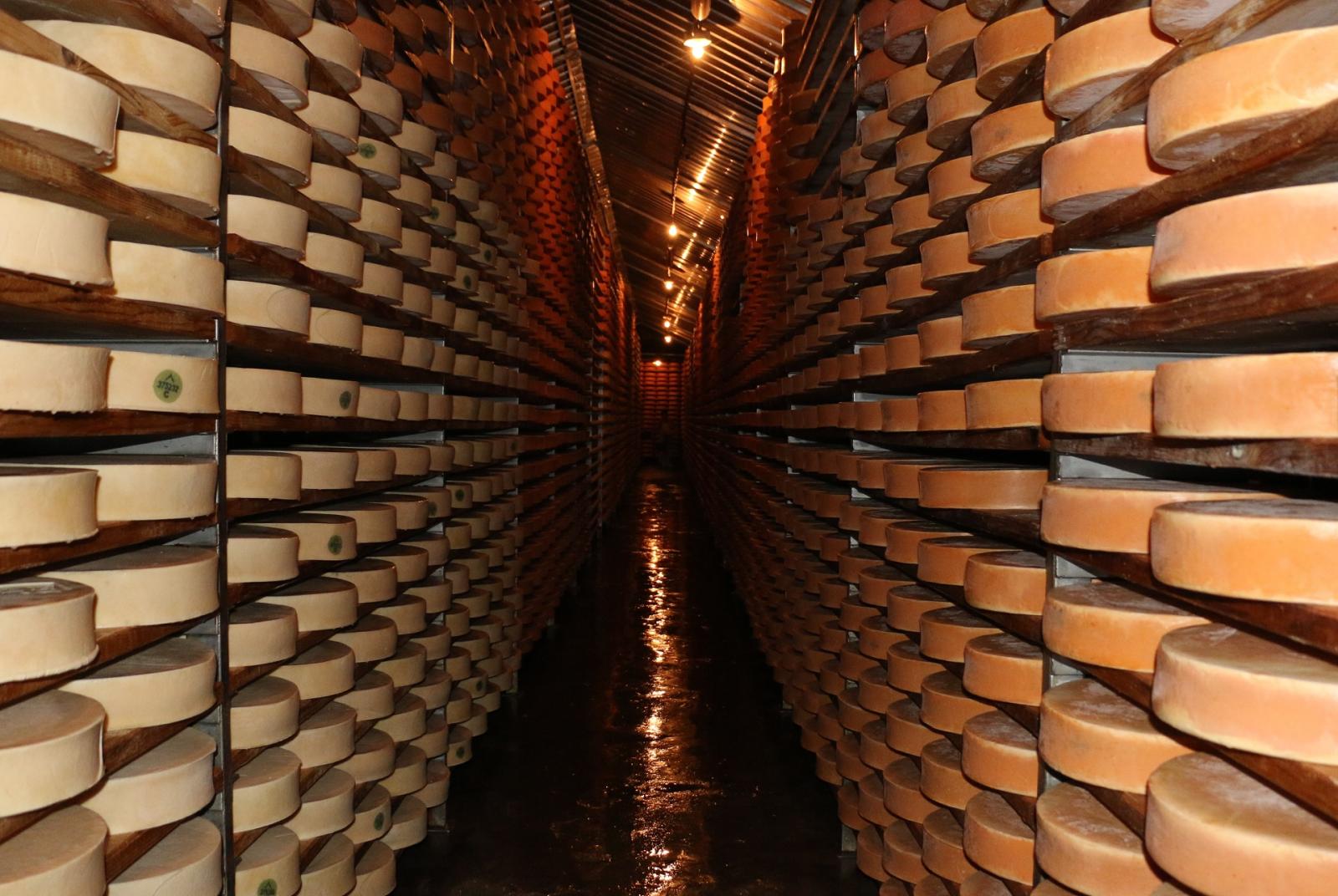 Magasin Fontina  Visite à l'entrepôt de la Fontina et dégustation