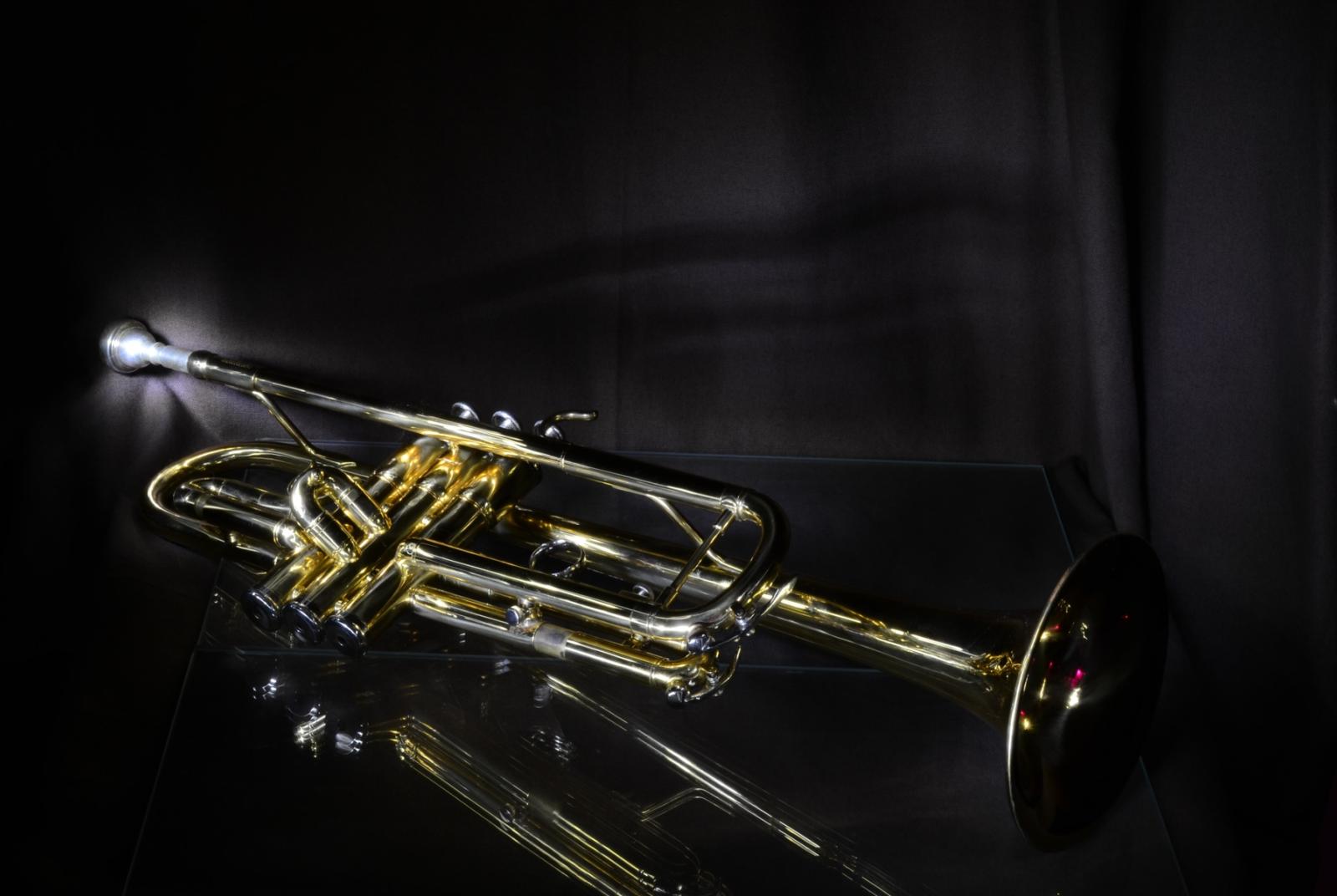 Concerti della Schagerl Brass Academy