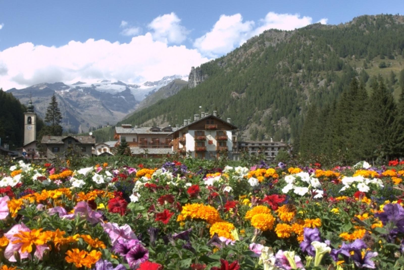 .. Paesaggi e fiori della Valle del Lys
